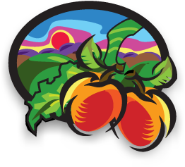 Wellness Business Systems Logo
